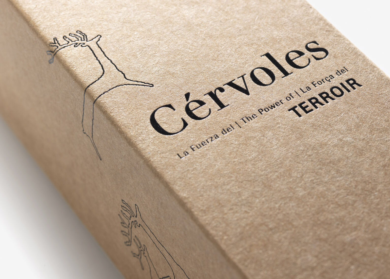 Cérvoles