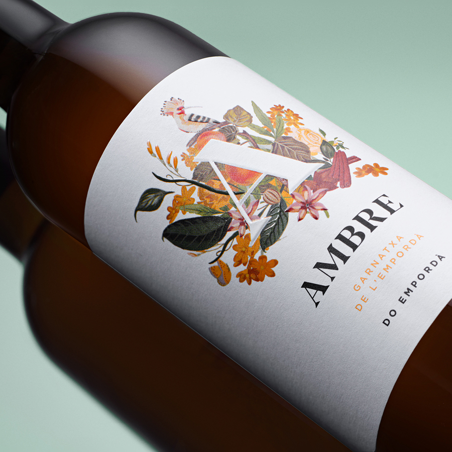 Ambre
